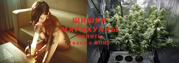 дмт Богданович